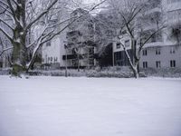 trees and bushes covered with snow next to a building surrounded by other buildings and trees