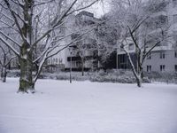 trees and bushes covered with snow next to a building surrounded by other buildings and trees