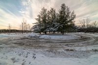 a view of some very snow covered trees near a road in winter time with a cloudy sky