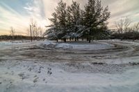 a view of some very snow covered trees near a road in winter time with a cloudy sky