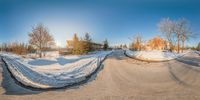 the fish eye lens captures an unusual snow scene with trees, shrubs and houses in a suburb