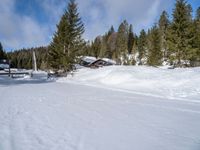 a man that is skiing on a snow trail in the snow - covered ground near the cabin