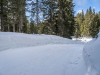 a snowboarder going down a snowy slope in the forest at a ski resort