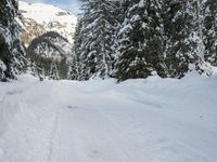 Snowy Alps Landscape in Germany