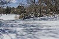 Snowy Forest by the Lake in Ontario, Canada