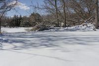 Snowy Forest by the Lake in Ontario, Canada