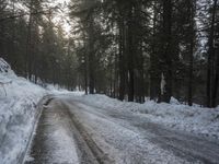 Winter Landscape in Germany: Snowy Forest Path in the Alps