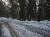 Winter Landscape in Germany: Snowy Forest Path in the Alps