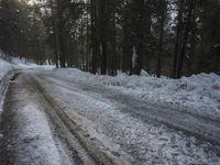 Winter Landscape in Germany: Snowy Forest Path in the Alps