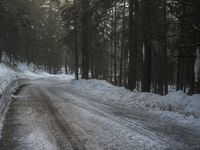Winter Landscape in Germany: Snowy Forest Path in the Alps