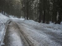 Winter Landscape in Germany: Snowy Forest Path in the Alps