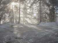Snowy Forest Road in Germany