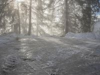 Snowy Forest Road in Germany