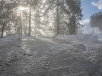 Snowy Forest Road in Germany