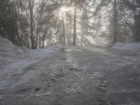 Snowy Forest Road in Germany