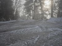 Snowy Forest Road in Germany