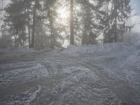 Snowy Forest Road in Germany
