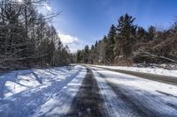 a road in the middle of a snowy forest covered with trees and snow covered ground