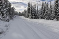 Snowy Landscape in Okanagan Valley, British Columbia 001