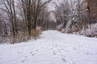 a path with footprints all over the area in snow, next to many trees and shrubs