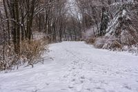 a path with footprints all over the area in snow, next to many trees and shrubs