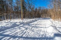 a snow covered trail in the woods in winter season in the middle of an open meadow