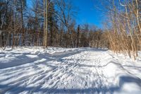 a snow covered trail in the woods in winter season in the middle of an open meadow