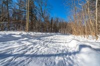 a snow covered trail in the woods in winter season in the middle of an open meadow