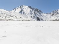 Snowy Mountain Landscape in Winter