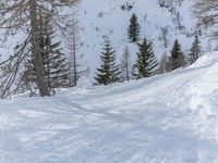 Snowy Mountain Road in Germany: Exploring the Alps