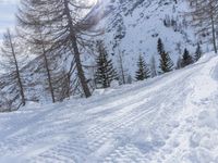 Snowy Mountain Road in Germany: Exploring the Alps