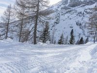 Snowy Mountain Road in Germany: Exploring the Alps