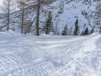 Snowy Mountain Road in Germany: Exploring the Alps