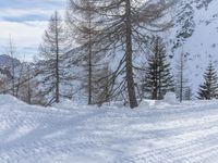 Snowy Mountain Road in Germany: Exploring the Alps