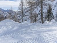 Snowy Mountain Road in Germany: Exploring the Alps