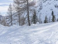 Snowy Mountain Road in Germany: Exploring the Alps