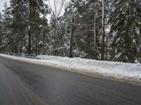 snow covered road and trees in the distance with traffic signs on both sides of the road