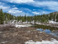 Snowy Open Space: A Serene Lake in Colorado