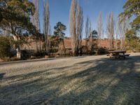 a park bench sits in a snowy field next to a water hole in the sun