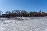 a man is walking across ice covered ground near trees and houses along the lake while looking at something to be seen