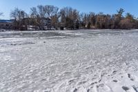 a man is walking across ice covered ground near trees and houses along the lake while looking at something to be seen