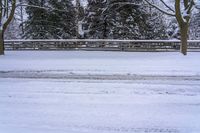 a snowy park with snow covered trees and benches and benches on either side of the road