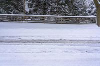 a snowy park with snow covered trees and benches and benches on either side of the road