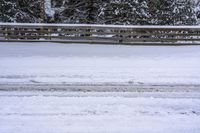 a snowy park with snow covered trees and benches and benches on either side of the road