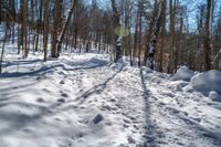 a snowy path is shown in this image with trees on both sides and shadows over the snow