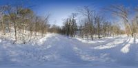 a snowy path leading through the woods by a tree lined road and snow covered ground