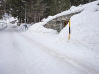 a narrow snowy road leading to buildings in the woods at dusk with pine trees lining both sides