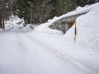 a narrow snowy road leading to buildings in the woods at dusk with pine trees lining both sides