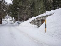 a narrow snowy road leading to buildings in the woods at dusk with pine trees lining both sides