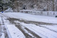 Snowy Road on Asphalt in Canada, Ontario